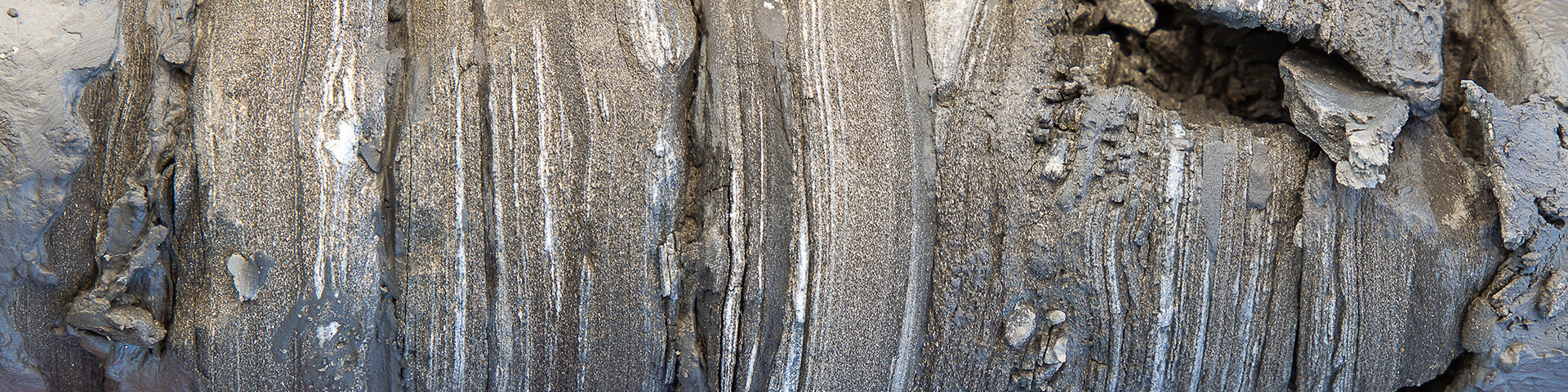 Borehole video logging in the Stockton Formation of the Newark Basin 