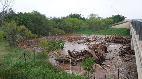 Brazos River with flood debris